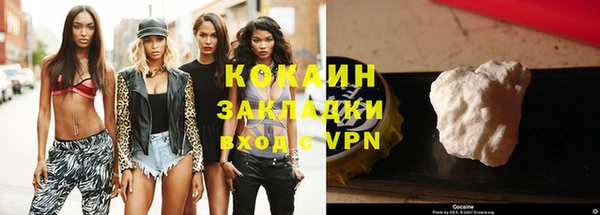 индика Кондопога