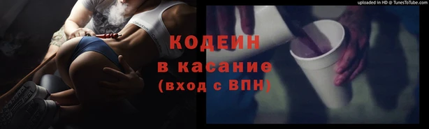 2c-b Краснослободск