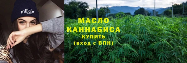 2c-b Краснослободск